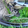 Venta Bicicleta Scott Scale Contessa 910 2020
